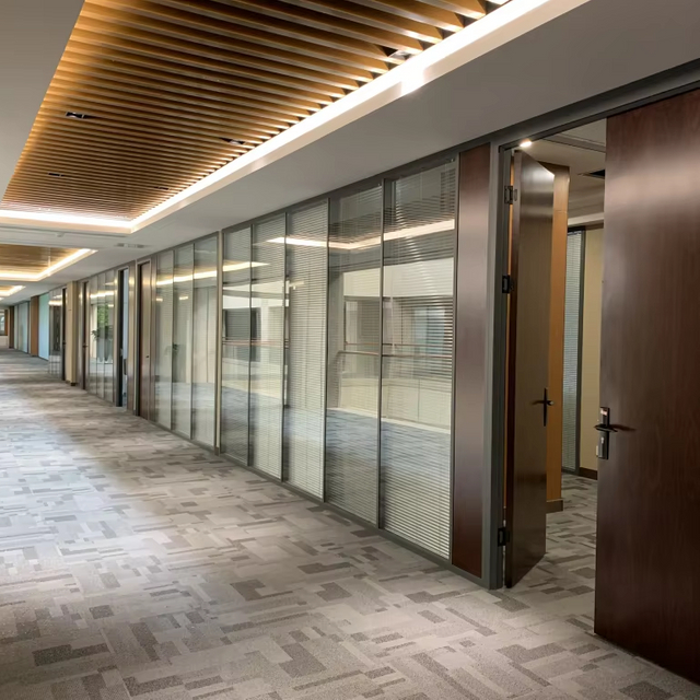 Ponto eletrostático em pó à prova de som Modern Space Painel Divisor Modular Office Glass Partition Parede