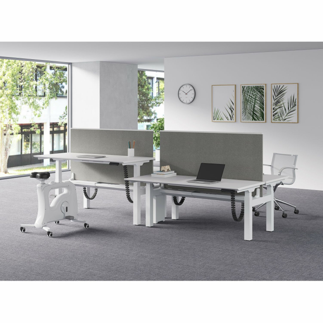 Profissional Minimalista do Escritório de Estado de trabalho e mesas para funcionários Materiais ecológicos e design ergonômico