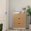 Organizador de sapatos de design esbelto Gabinete de sapato perfeito para pequenos espaços de corredor